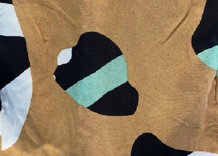 Variation picture for Camel