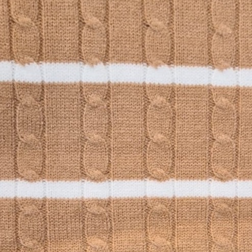 Variation picture for Camel