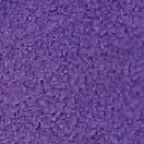 Variation picture for Violeta