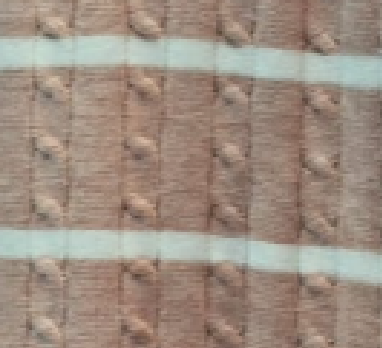 Variation picture for Rosa Jaspeado