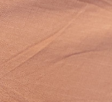 Variation picture for Camel