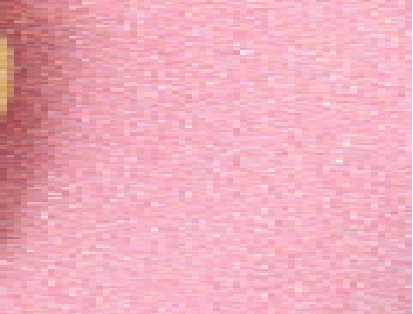 Variation picture for Rosa Chicle