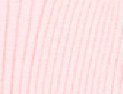 Variation picture for Rosa Bebe