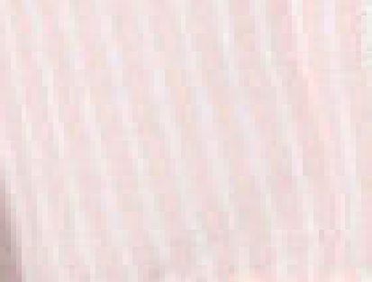 Variation picture for Rosa Variation picture for Rosa