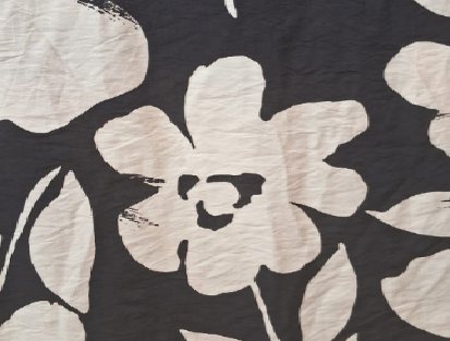 Variation picture for Negro Variation picture for Negro