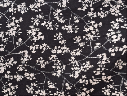 Variation picture for Negro