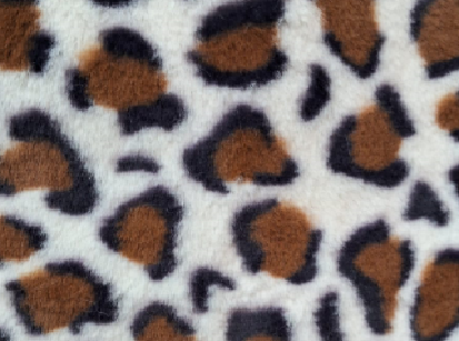 Variation picture for Camel Variation picture for Camel