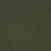 Variation picture for Verde Oscuro