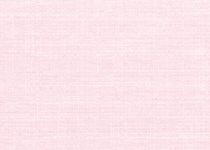 Variation picture for Rosa Pastel